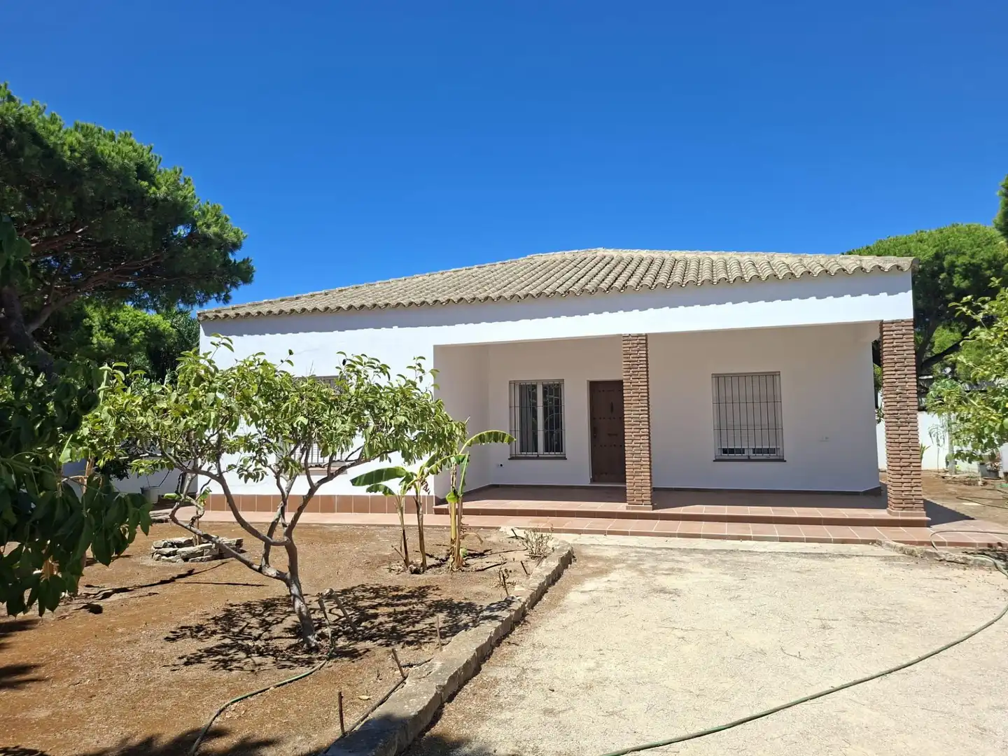Vista exterior de Casa o xalet en venda en Chiclana de la Frontera amb Jardí privat