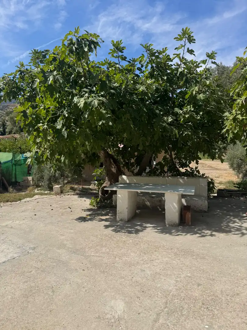 Detached house with pool for sale in Camino de las Huertas Grandes, imagen 5