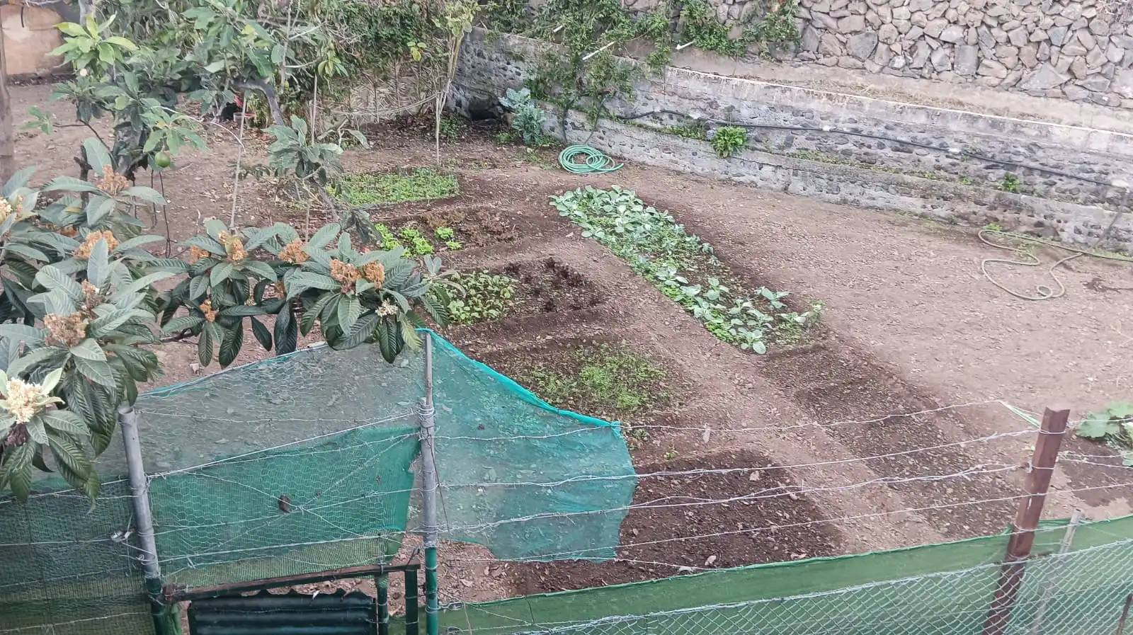 Rural land for sale in Calle Pez, imagen 2
