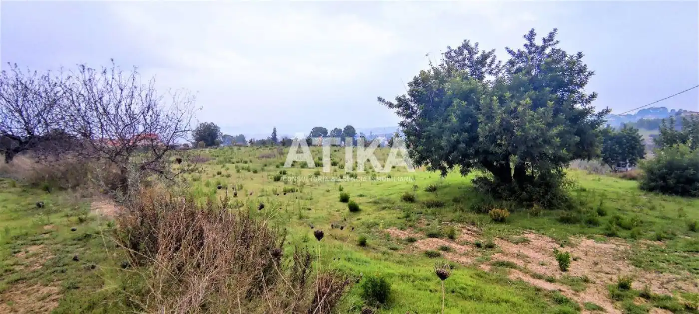 Terrain rustique à vendre à Centro, imagen 4