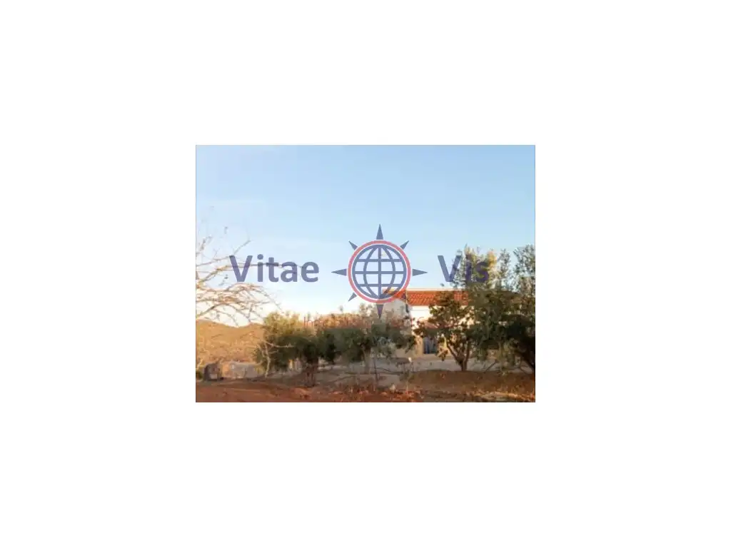 CASA EN BEJAR CON FINCA DE ALMENDROS 66 HECTAREAS, immagine 3