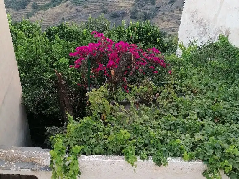 Jardí de Casa o xalet en venda en Ohanes amb Terrassa i Balcó