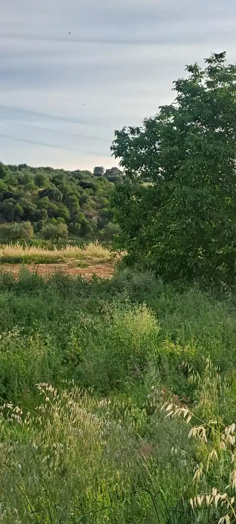 Land for sale in El Puente del Arzobispo