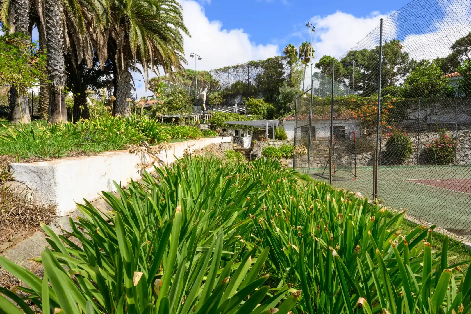 Jardí de Casa o xalet en venda en Santa Brígida amb Calefacció, Jardí privat i Terrassa
