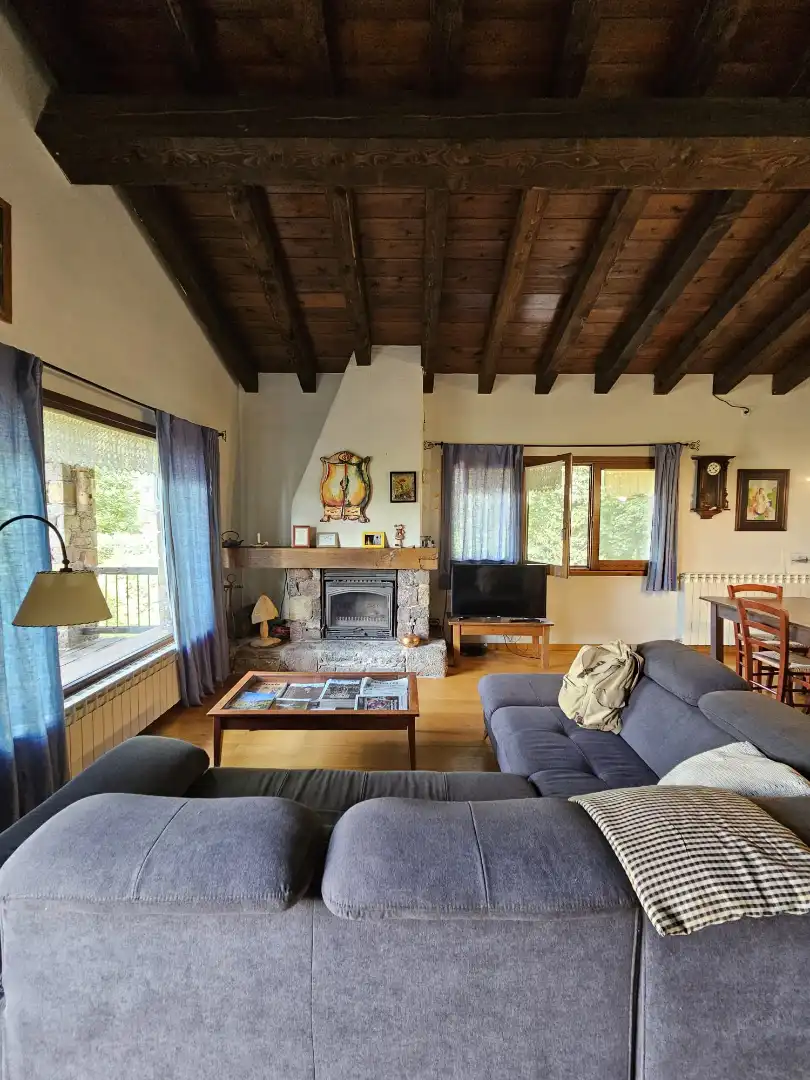 Sala d'estar de Casa o xalet en venda en Camprodon amb Moblat