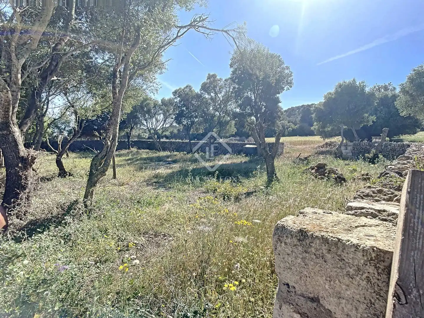 Casa rústica con piscina en venta en Es Mercadal poble, imagen 38