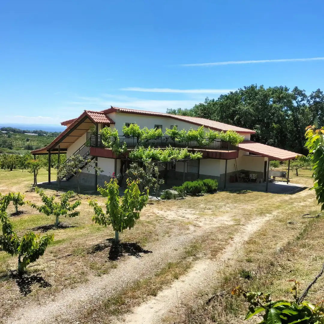 Terreni e lotti in vendita a EX-203