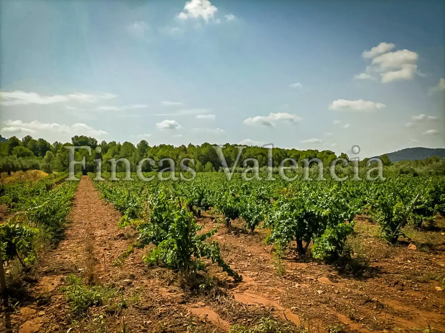 Country homes for sale in Calle SONEJA, Azuébar