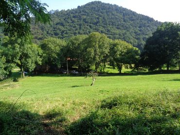 Terreny rústic en venda a Santa María de Cayón