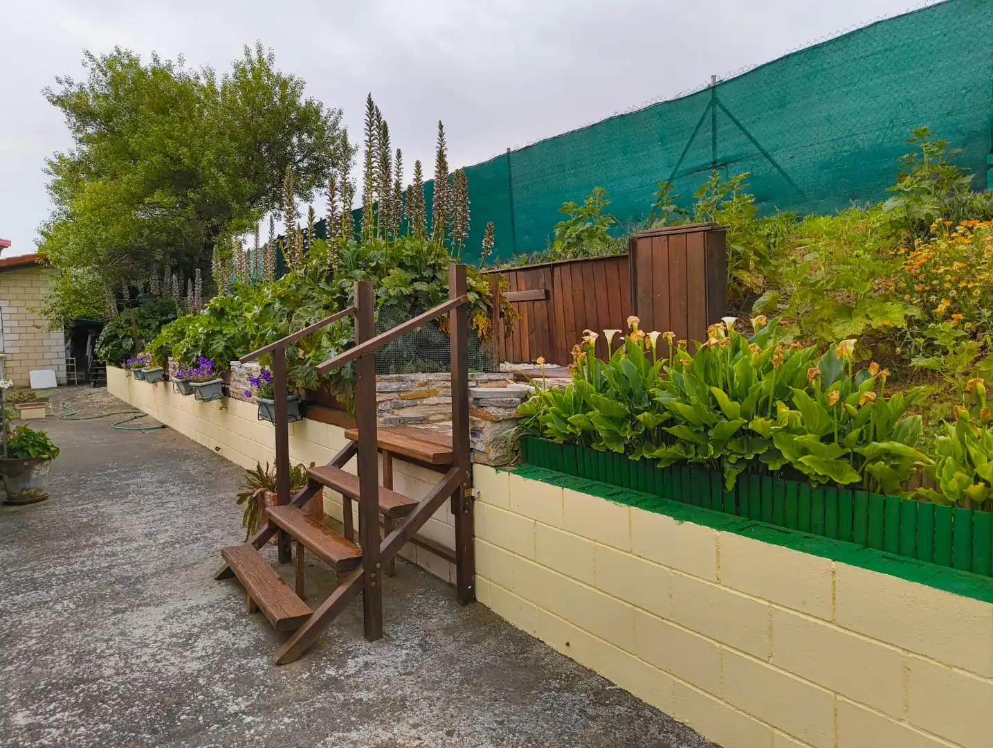 Terreno rustico in vendita a Calahorra, imagen 18