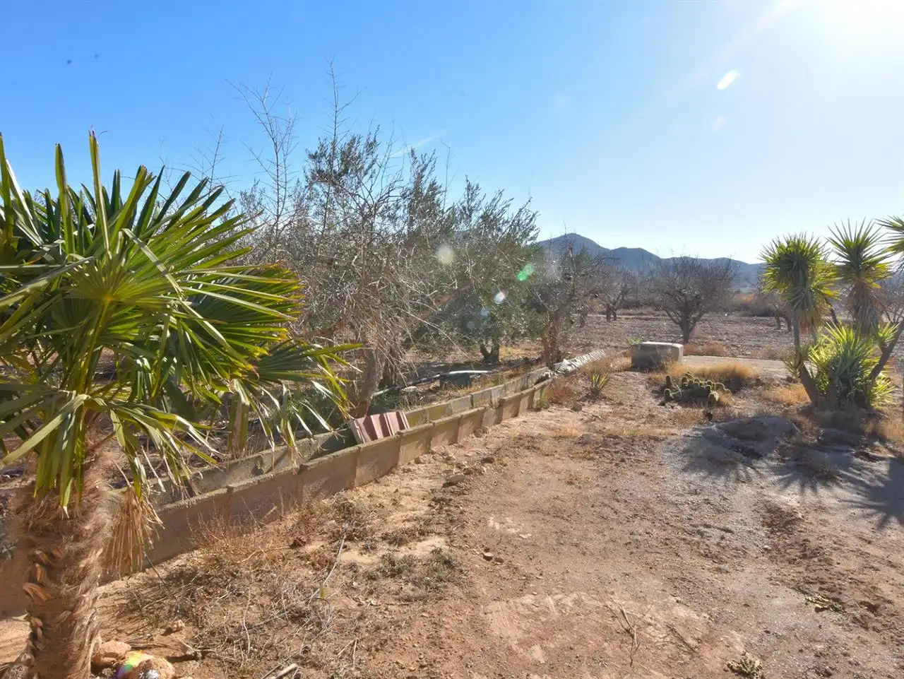 Casa o xalet en venda en Huércal-Overa