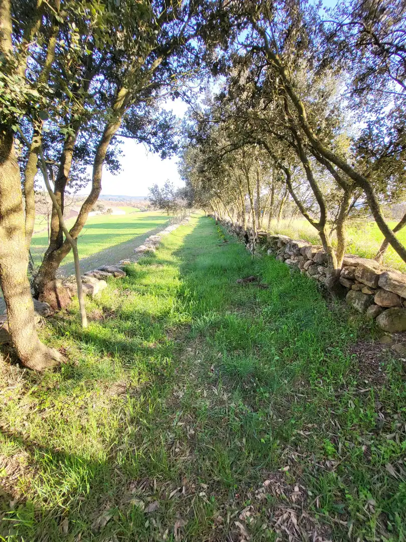 Terreno en venta en Pinell de Solsonès