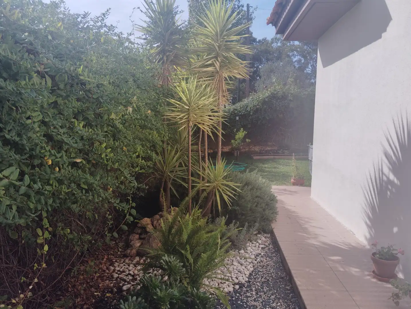 Jardí de Casa o xalet en venda en Guillena amb Aire condicionat, Calefacció i Jardí privat