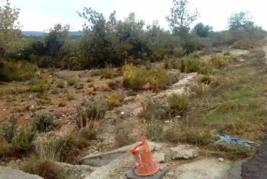 Terreny rústic en venda a San Jorge / Sant Jordi, imagen 2