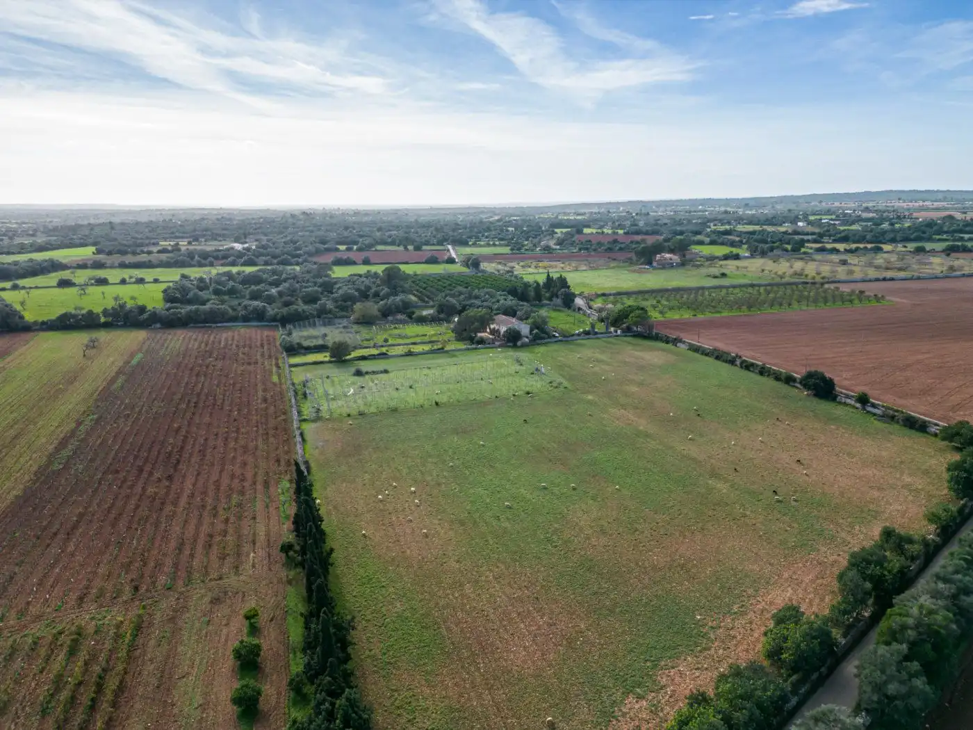 Residential land for sale in S'Horta - Cas Concos des Cavaller - Es Carritxó, imagen 19