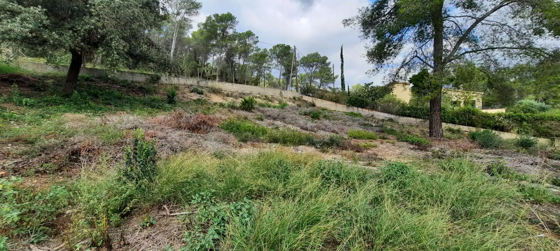 Residencial en venta en Olivella