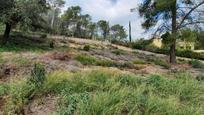 Residential for sale in Olivella