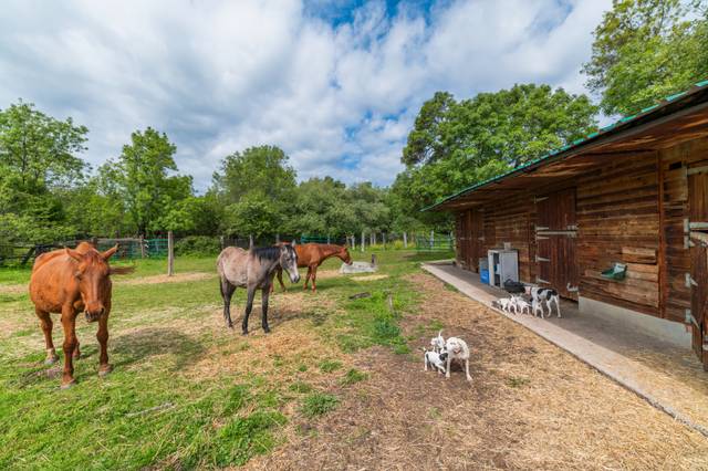 Terreno en Venta en La Pizarra