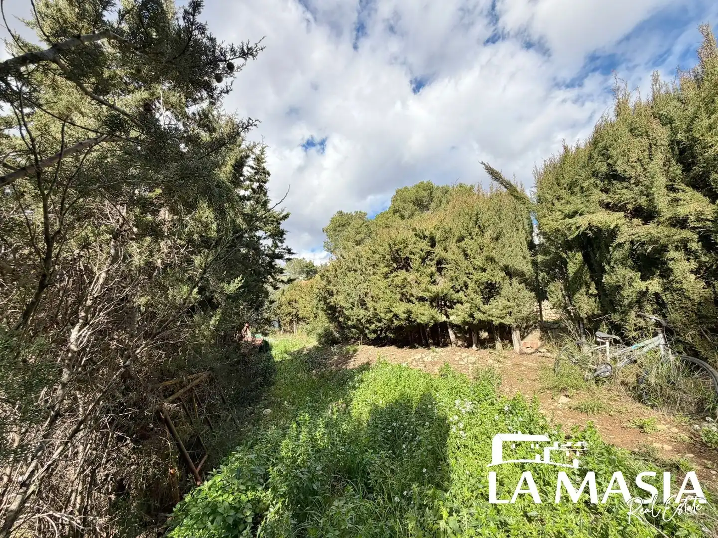 Casa o xalet en venda en Olivella amb Calefacció, Jardí privat i Terrassa