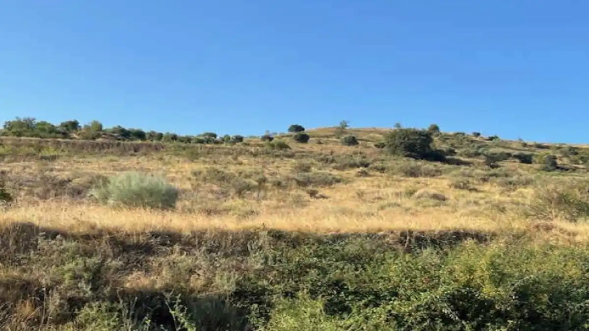 Residencial en venta en Alcanadre