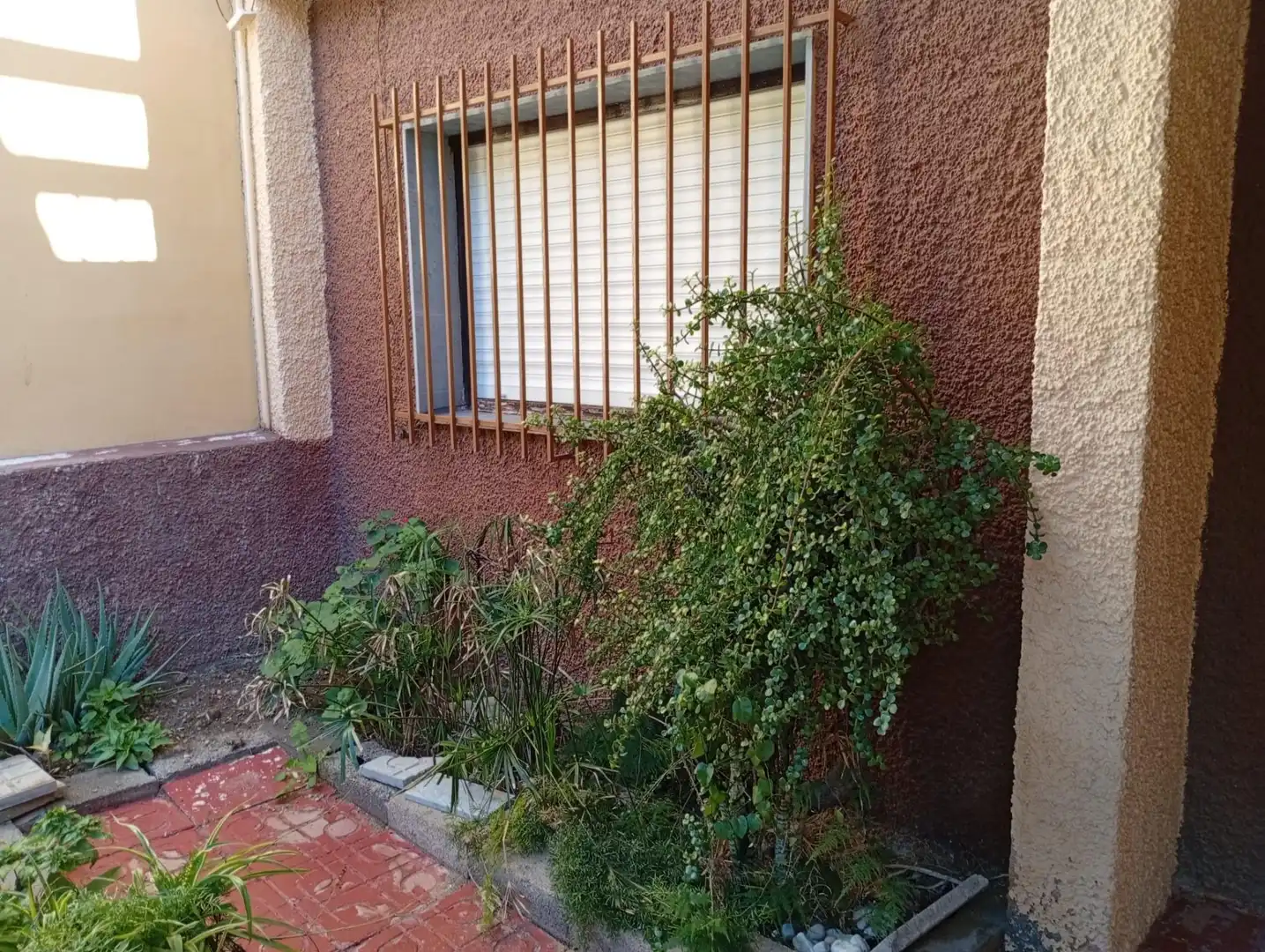 Balcony of Houses for sale in El Ejido