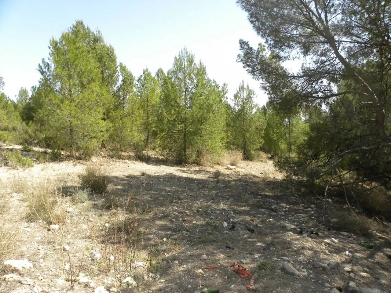 Terreno rustico in vendita a Carretera Llano de Béjar, imagen 5