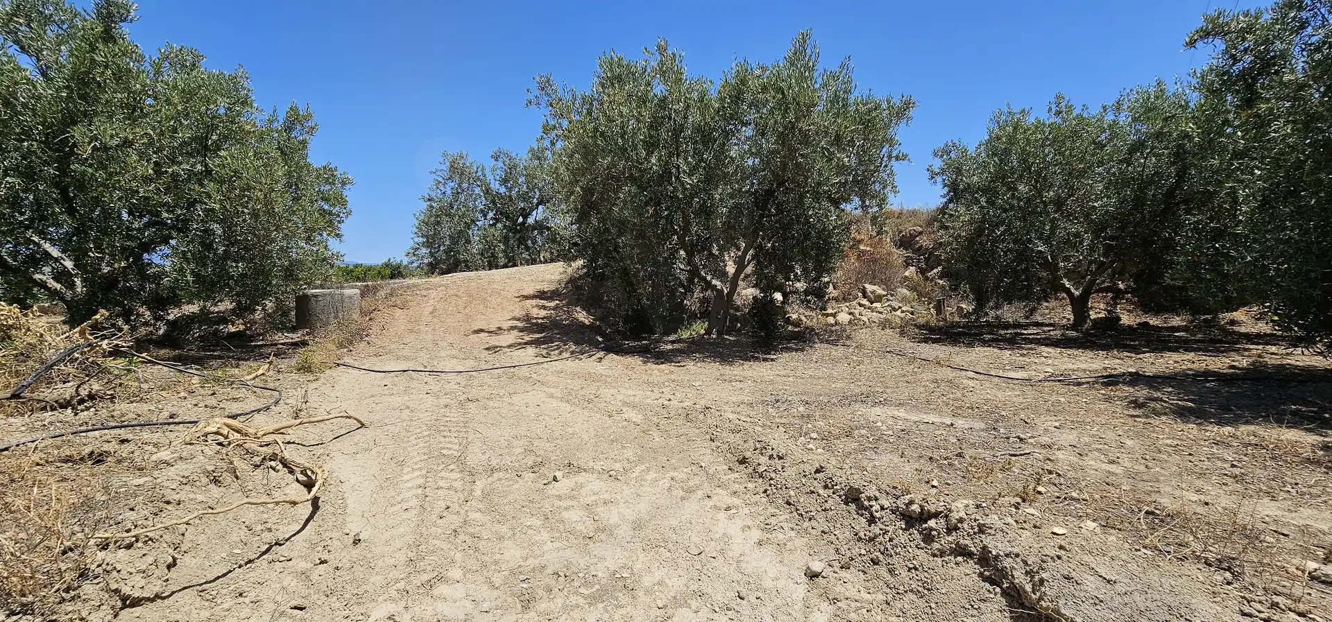 Terreno en venta en Bentarique