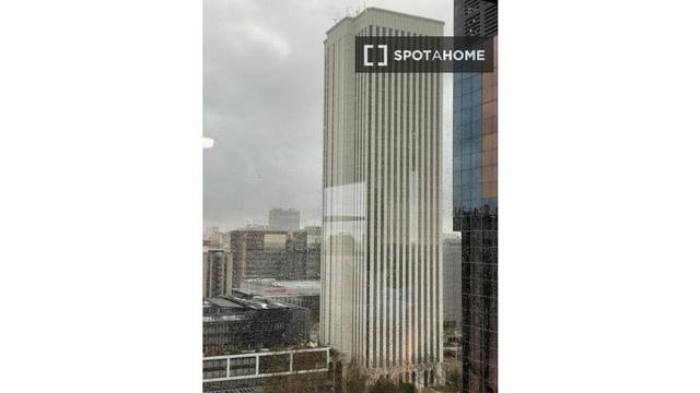 Piso en Alquiler en Cuatro Caminos - Azca