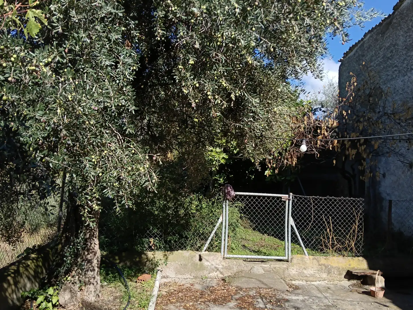 Finca rústica en venda en Cádiar