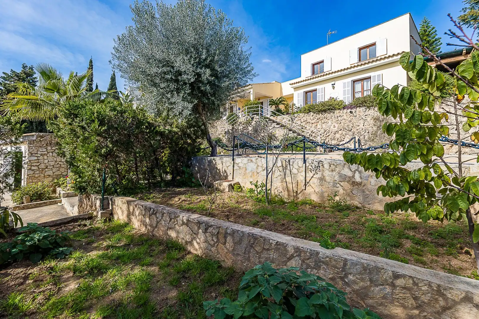 Vista exterior de Casa o chalet en venta en  Palma de Mallorca con Jardín privado, Terraza y Trastero
