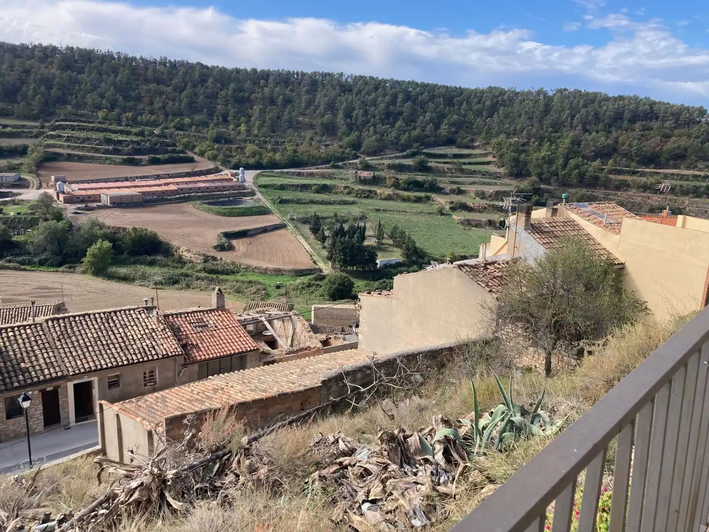 Country homes for sale in Els Omells de na Gaia