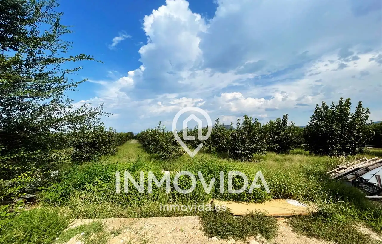 Villa con terrazza in vendita a Xàtiva, imagen 22