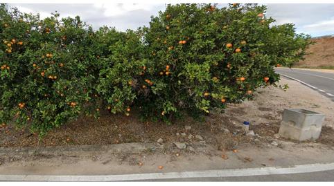 Foto 5 de Casa o chalet en venta en Camino Bancalons, Oliva pueblo, Valencia