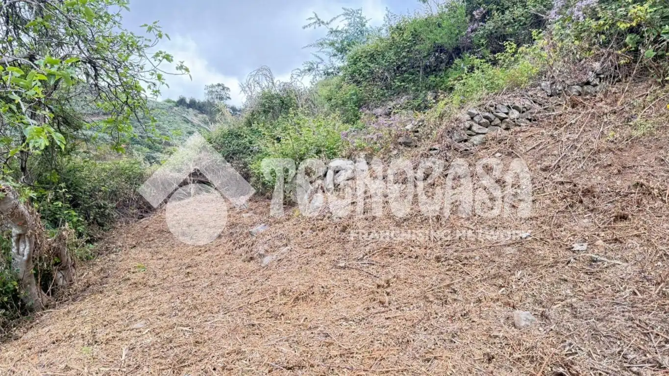 Terreno en venta en Moya (Las Palmas)