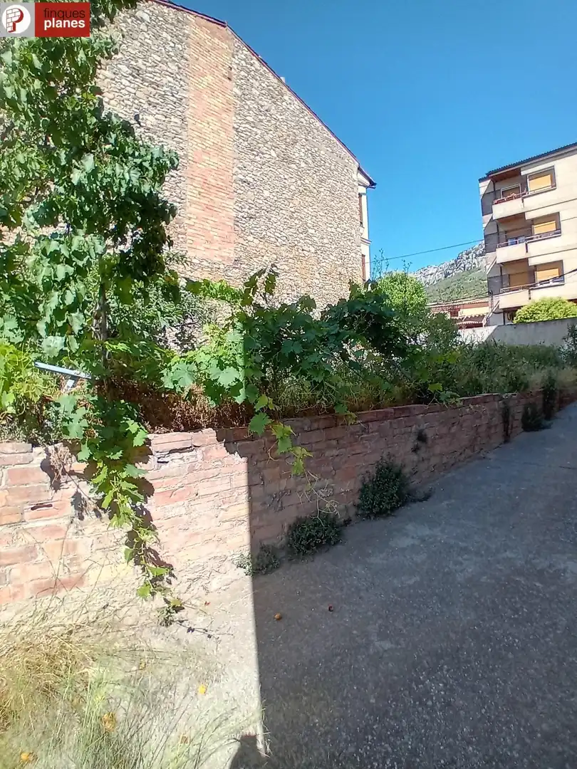 Garden of Residential for sale in Coll de Nargó