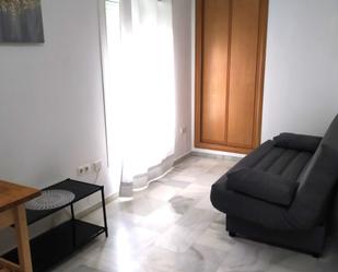 Sala d'estar de Estudi de lloguer en Málaga Capital amb Moblat