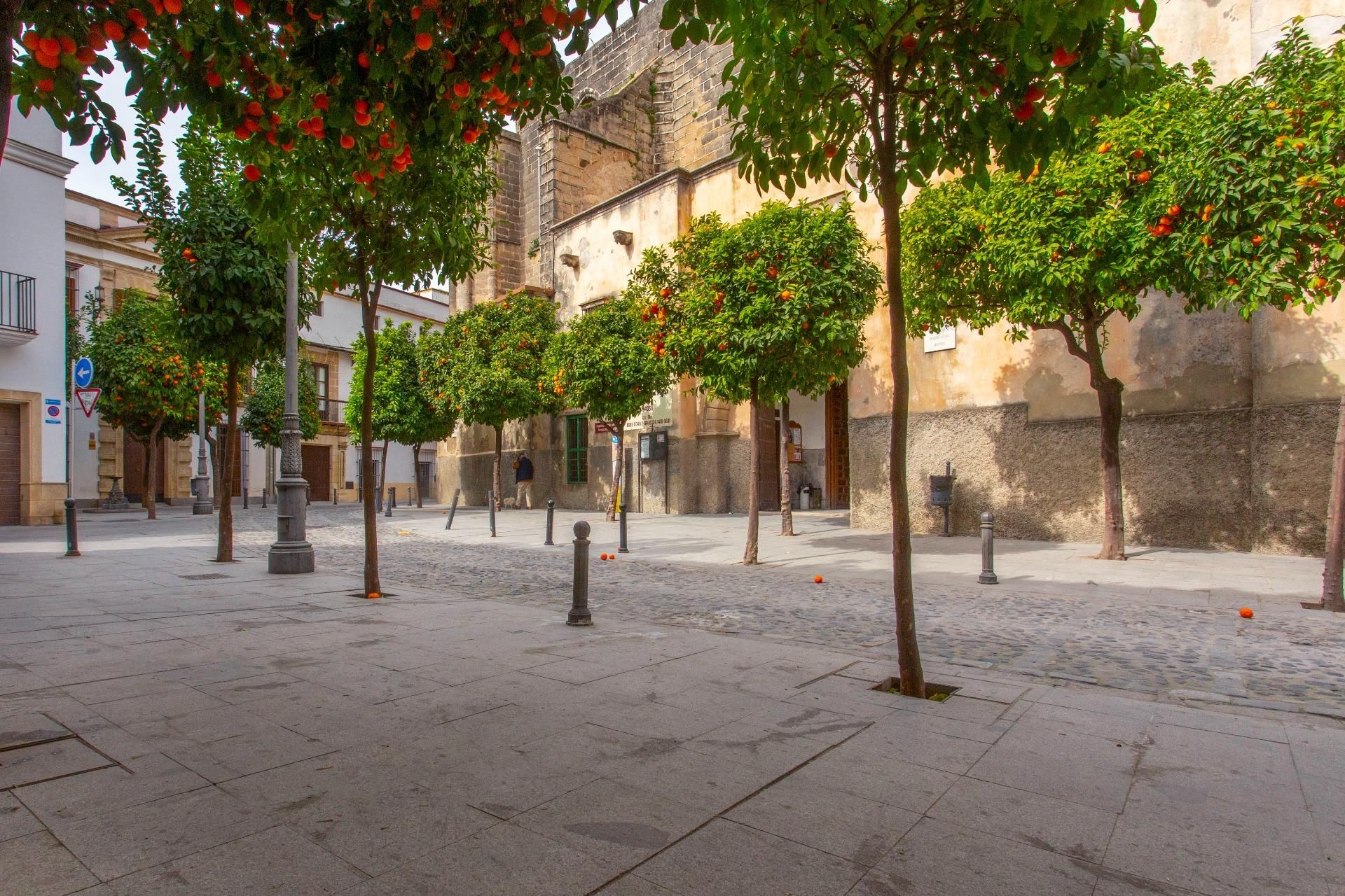 Exterior view of Planta baja for sale in Jerez de la Frontera