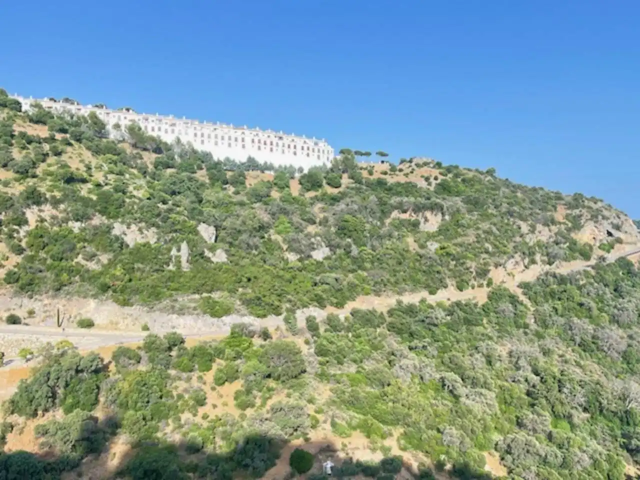 Finca rústica en venta en Casares pueblo