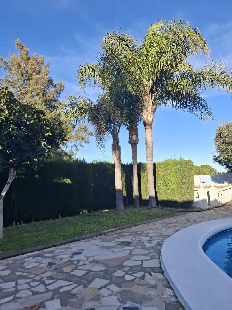 Detached house with pool for sale in Carrer Artemis, imagen 8