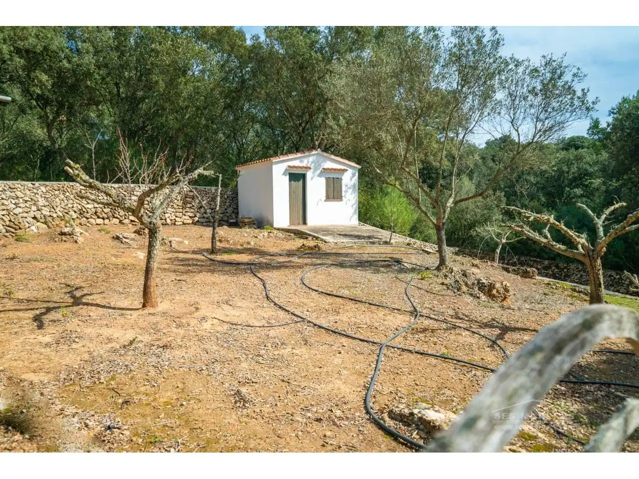 Finca rústica en venda en Es Mercadal amb Jardí privat i Terrassa