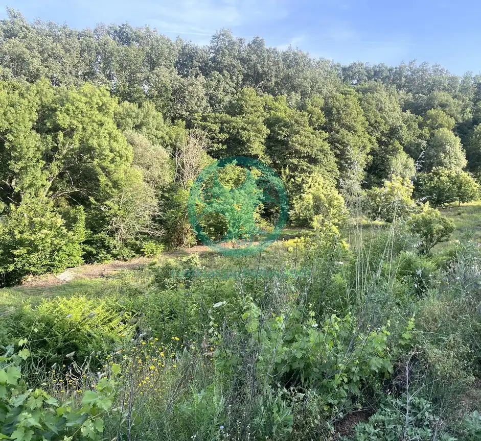 Terreni e lotti in vendita a Garganta la Olla, imagen 10