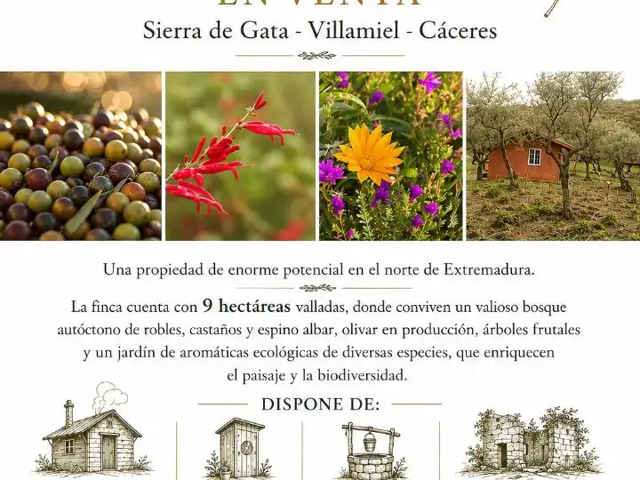 Jardín de Terreno en venta en Villamiel