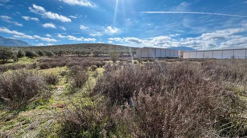 Foto 2 de Terreno industrial en venta en Villanueva del Trabuco, Málaga
