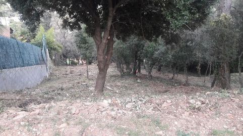 TERRENO IMPRESIONANTES VISTAS !, immagine 3