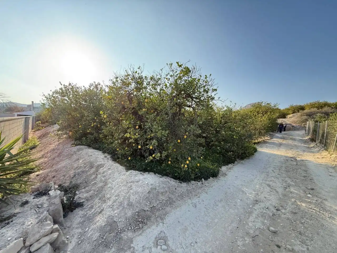 Residential land for sale in Villanueva del Río Segura, imagen 3
