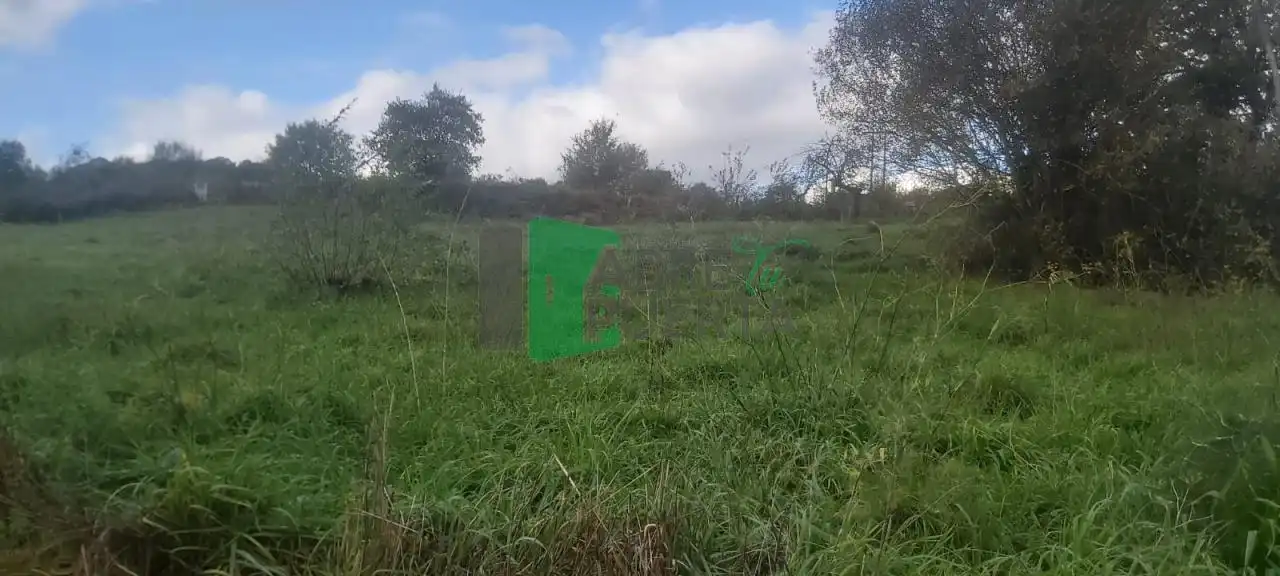Rural land for sale in Allariz, imagen 3