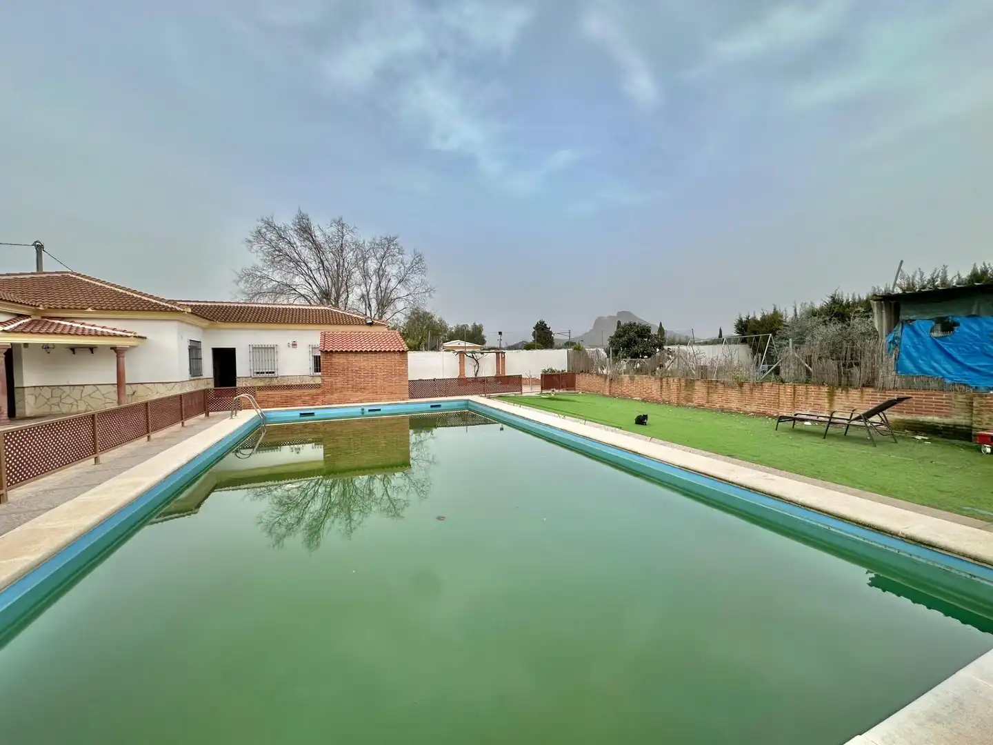 Piscina de Casa o chalet en venta en Antequera