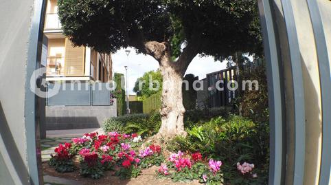 Foto 2 de Apartamento de alquiler en Calle del Alcalde Josep Poveda Verdú, Playa Muchavista, Alicante