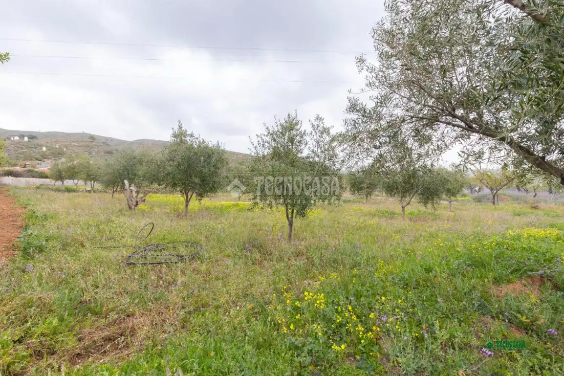 Finca rústica en venda en Cantoria