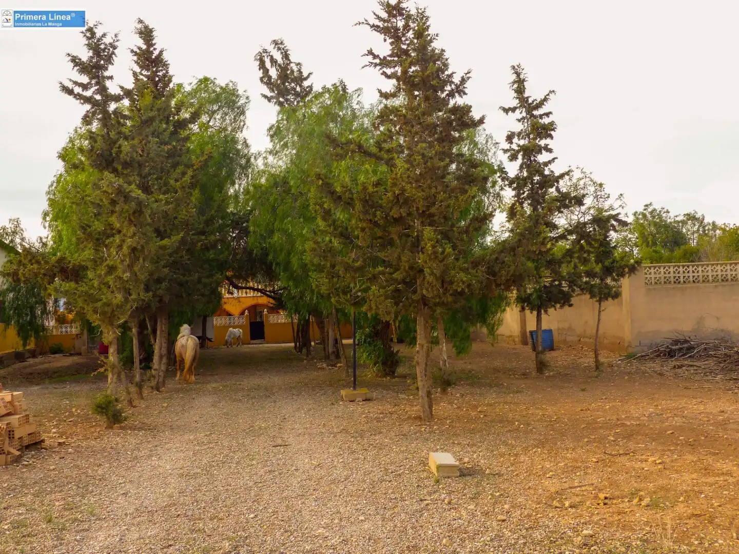 Vista exterior de Finca rústica en venda en Fuente Álamo de Murcia amb Calefacció, Jardí privat i Terrassa